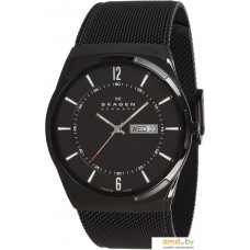 Наручные часы Skagen SKW6006