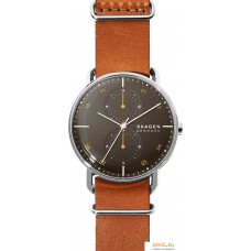 Наручные часы Skagen SKW6537