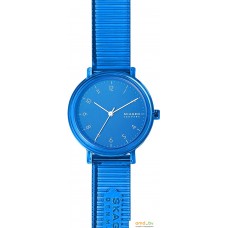 Наручные часы Skagen SKW2855