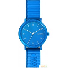 Наручные часы Skagen SKW6602