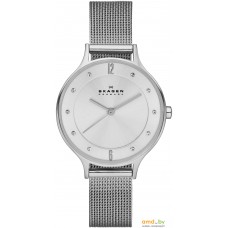 Наручные часы Skagen SKW2149