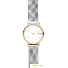 Наручные часы Skagen SKW2910