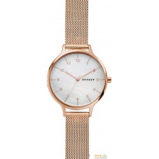 Наручные часы Skagen SKW2633