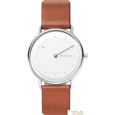 Наручные часы Skagen SKW6487