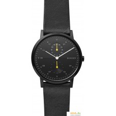 Наручные часы Skagen SKW6499