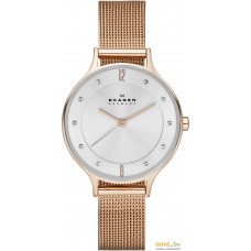 Наручные часы Skagen SKW2151