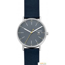 Наручные часы Skagen SKW6451