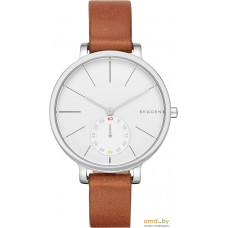 Наручные часы Skagen SKW2434