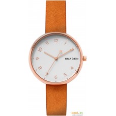 Наручные часы Skagen SKW2624