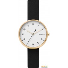 Наручные часы Skagen SKW2626