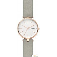 Наручные часы Skagen SKW2710