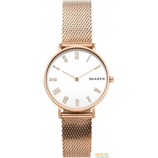 Наручные часы Skagen SKW2714