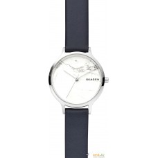 Наручные часы Skagen SKW2719