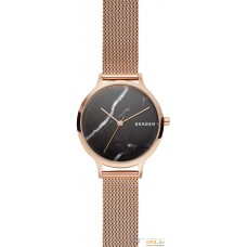 Наручные часы Skagen SKW2721