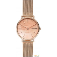 Наручные часы Skagen SKW2732