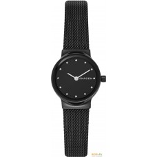 Наручные часы Skagen SKW2747