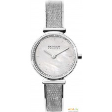 Наручные часы Skagen SKW2793