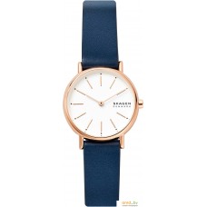 Наручные часы Skagen SKW2838