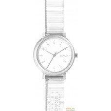 Наручные часы Skagen SKW2858