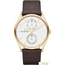 Наручные часы Skagen SKW6066