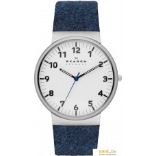 Наручные часы Skagen SKW6098