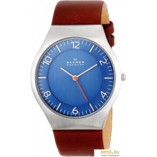 Наручные часы Skagen SKW6112