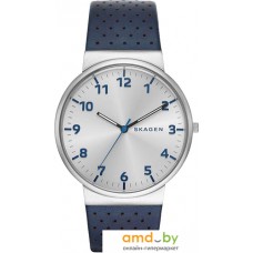 Наручные часы Skagen SKW6162