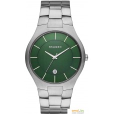 Наручные часы Skagen SKW6182