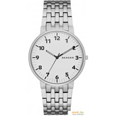 Наручные часы Skagen SKW6200