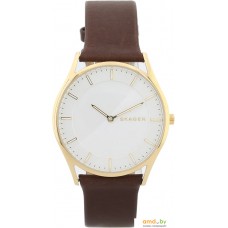 Наручные часы Skagen SKW6225