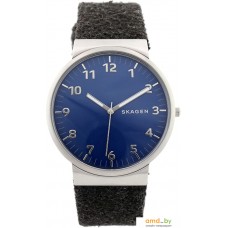 Наручные часы Skagen SKW6232