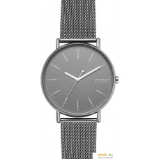 Наручные часы Skagen Signatur SKW6549