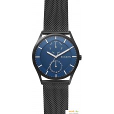 Наручные часы Skagen SKW6450