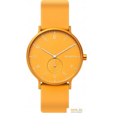 Наручные часы Skagen SKW6510