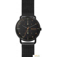 Наручные часы Skagen SKW6538