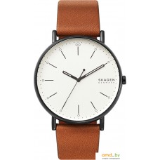 Наручные часы Skagen SKW6550