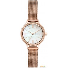 Наручные часы Skagen Anita SKW2865