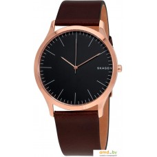 Наручные часы Skagen SKW6330