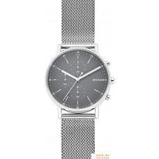 Наручные часы Skagen SKW6464