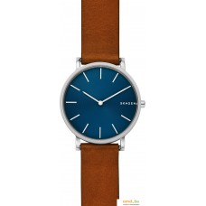 Наручные часы Skagen SKW6446