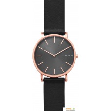 Наручные часы Skagen SKW6447