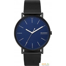 Наручные часы Skagen SKW6529