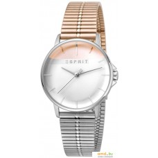 Наручные часы Esprit ES1L065M0105