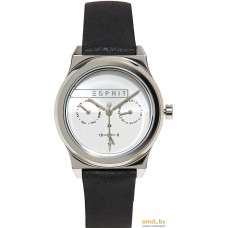 Наручные часы Esprit ES1L077L0015