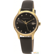 Наручные часы Esprit ES1L198L0025