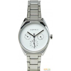 Наручные часы Esprit ES1L060M0055