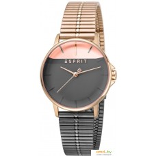 Наручные часы Esprit ES1L065M0125