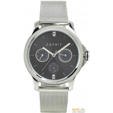 Наручные часы Esprit ES1L145M0065