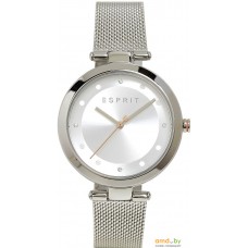 Наручные часы Esprit ES1L165M0045