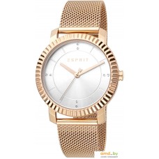 Наручные часы Esprit ES1L184M0035